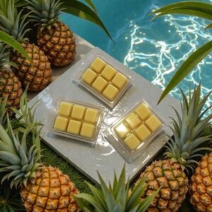 Handmade Soy Wax Melts | Orchid & Vine Clean Scents | 100% Pure Soy | Non-Toxic